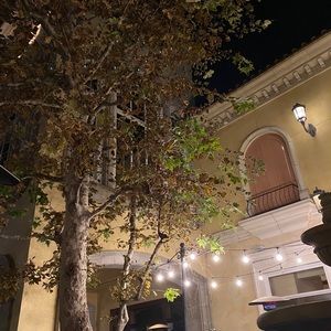 Meet your Posher, Audrey